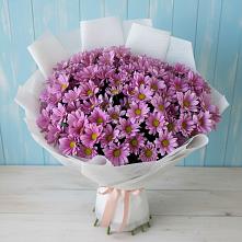 Букет цветов из:  Хризантемы в Баговской