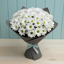 Букет цветов из:  Хризантемы в Баговской
